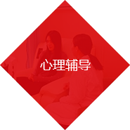 心理輔導(dǎo)